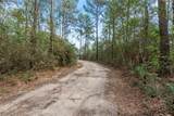 12062 Ike White Road - Photo 7