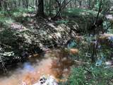 6813 Fm 563 Road - Photo 9
