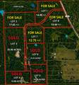 0001 Evergreen Lot 1 Fm 362 Road - Photo 1