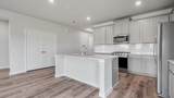 27327 Blue Pool Drive - Photo 12