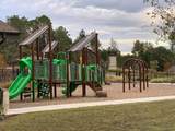 14048 Lamprey Drive - Photo 17