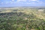 0 Jones Loop - Photo 3