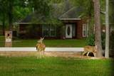 914 Box Elder Drive - Photo 26