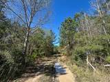 5 Highway 146 - Photo 11