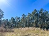 5 Highway 146 - Photo 3