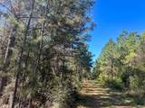 5 Highway 146 - Photo 4