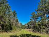 5 Highway 146 - Photo 7
