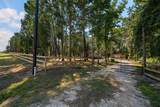 30 Libby Drive - Photo 9