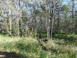 0 Brazos River Drive - Photo 3