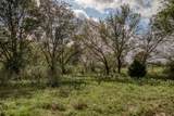 Tract 2 Sun Oil Road - Photo 13