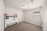 31203 Balsam Hawk Lane - Photo 13