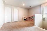 10805 Bird Of Paradise Ln Lane - Photo 11