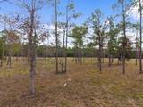 TBD LOT 3 Fm 3152 Road - Photo 7