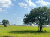 00 County Road 307 - Photo 2