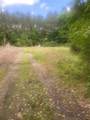 251 Pickens Loop - Photo 4