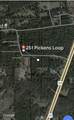 251 Pickens Loop - Photo 9