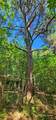 TBD Cr 3233 E - Photo 6