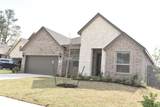 15524 Leopard Lily Lane - Photo 3