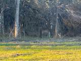 Lot 9 Grison Circle - Photo 3