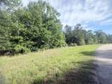 21203 Grant Lake Circle - Photo 2