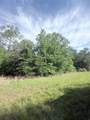 21203 Grant Lake Circle - Photo 4