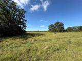 14393 County Road 228 - Photo 12