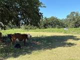 14393 County Road 228 - Photo 17