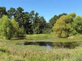 14393 County Road 228 - Photo 20