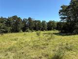 14393 County Road 228 - Photo 8