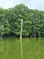 403 County Road 2869 - Photo 3