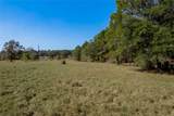 1525 Odessa Drive - Photo 11