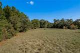 1525 Odessa Drive - Photo 12