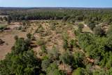 1525 Odessa Drive - Photo 23