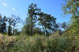 0010 County Road 302 - Photo 11