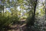 0010 County Road 302 - Photo 17