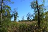 0010 County Road 302 - Photo 3