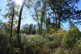 0010 County Road 302 - Photo 7