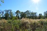0010 County Road 302 - Photo 9