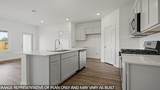 20541 Coast Redwood Street - Photo 5