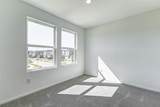 21438 Carosella Drive - Photo 17