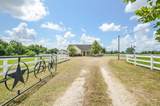 29107 Hay Meadow Court - Photo 6
