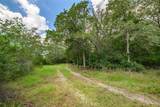 4900 Andreas Road - Photo 5