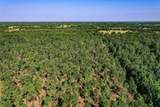 140 Acres State Highway 21 E - Photo 10
