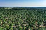 140 Acres State Highway 21 E - Photo 11