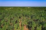 140 Acres State Highway 21 E - Photo 12