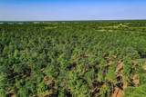 140 Acres State Highway 21 E - Photo 13