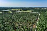 140 Acres State Highway 21 E - Photo 15