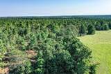140 Acres State Highway 21 E - Photo 17