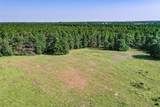 140 Acres State Highway 21 E - Photo 18