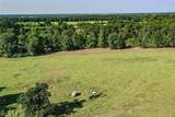 140 Acres State Highway 21 E - Photo 21